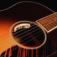 Lade das Bild in den Galerie-Viewer, Lr Baggs Anthem Ele/Mic Pu System