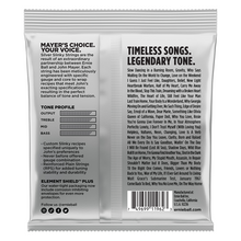 Lade das Bild in den Galerie-Viewer, Ernie Ball John Mayer Silver Slinky Set 10.5-47