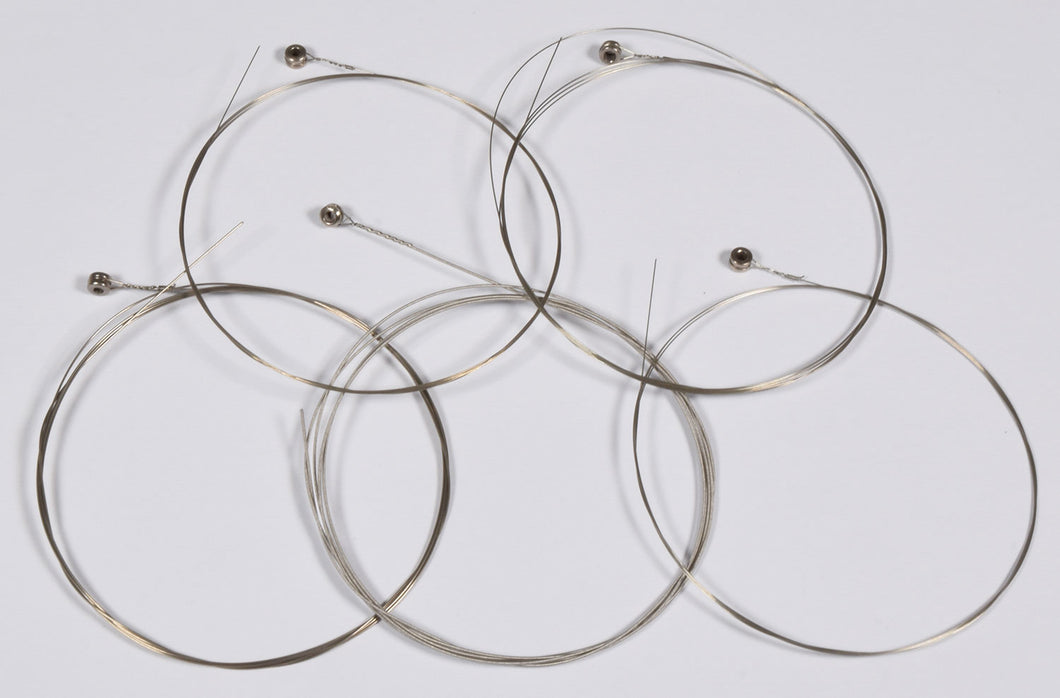 Chord G-Banjo 5-String Set