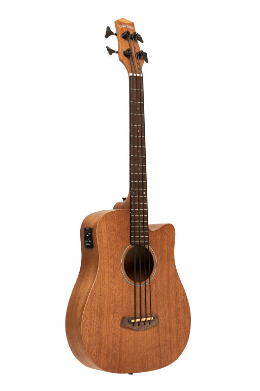 Gold Tone Electro-Acoustic Micro Bass 25