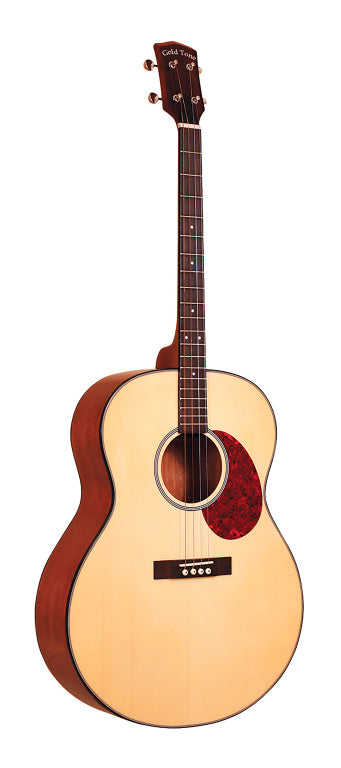 Gold Tone Tenor Guitar With Bag
