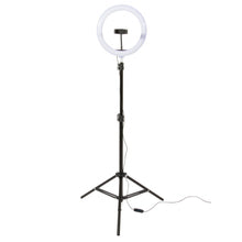 Lade das Bild in den Galerie-Viewer, On-Stage LED Ring Light Kit ~ Inc. 2 Stands
