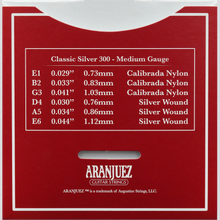 Load image into Gallery viewer, Aranjuez Classic Silver 300
