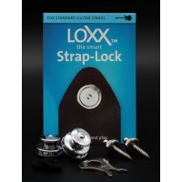 Lade das Bild in den Galerie-Viewer, Loxx Music Box Standard Strap Locks - Chrome
