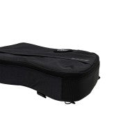 Lade das Bild in den Galerie-Viewer, Ritter Bern Thunderbird Style Bass Guitar Bag - Anthracite (RGB4-TBB)
