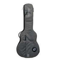 Lade das Bild in den Galerie-Viewer, Ritter Carouge 335 Style Semi Guitar Bag - Elephant Grey (RGC3-SA)
