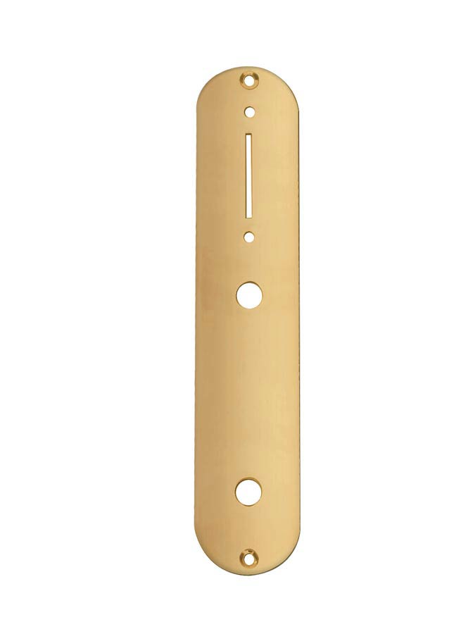 Control plate, 32x160mm, Teaser, 9,5mm holes for inch pots, gold