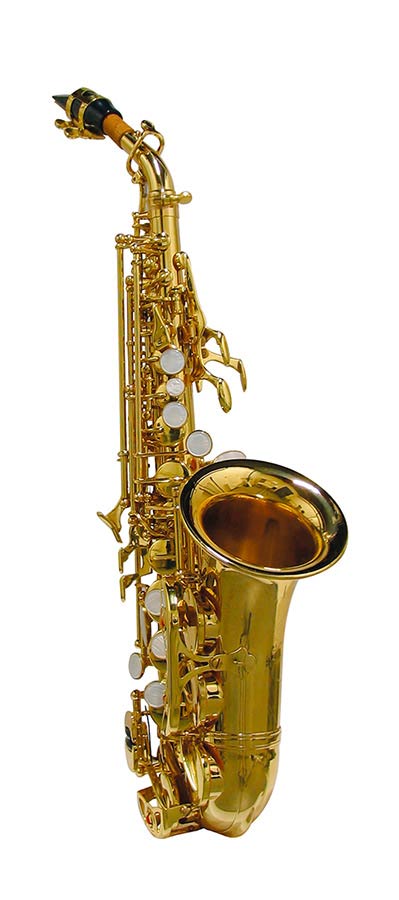 soprano sax, yellow brass lacquer, Pisoni pads, with soft case, curved model
