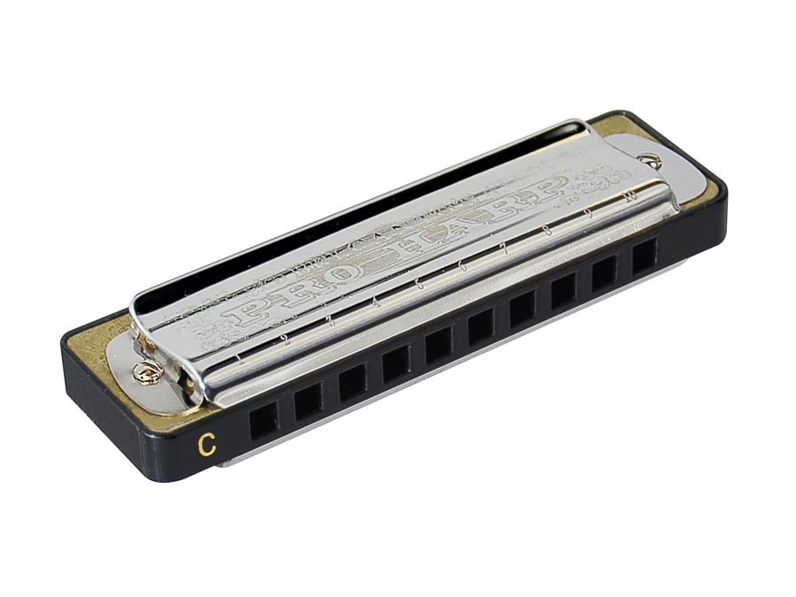 Belcanto blues harp pro series 20 reeds case C