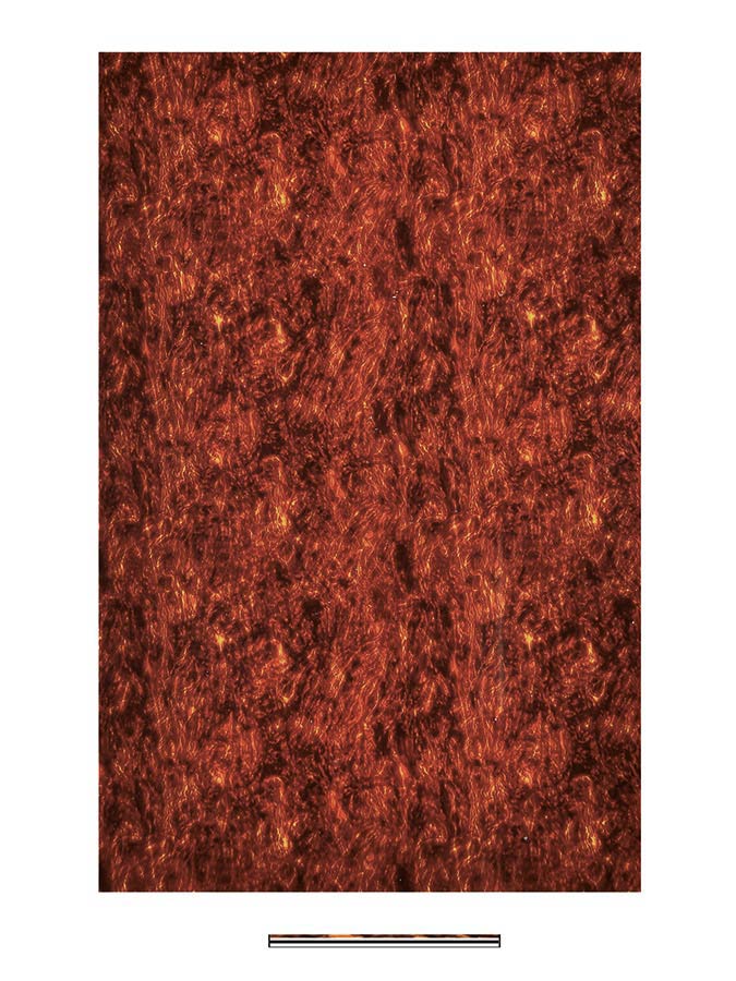 Pickguard material, 4 ply, 45x29cm, tortoise