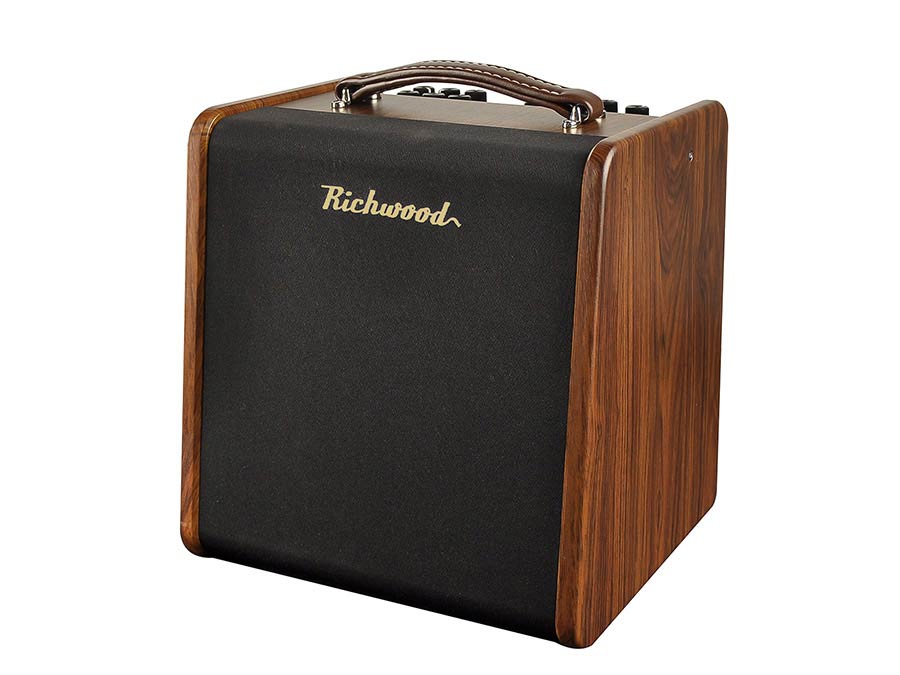 Richwood acoustic guitar amplifier