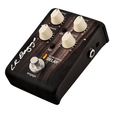 LR Baggs Align Series Delay Pedal