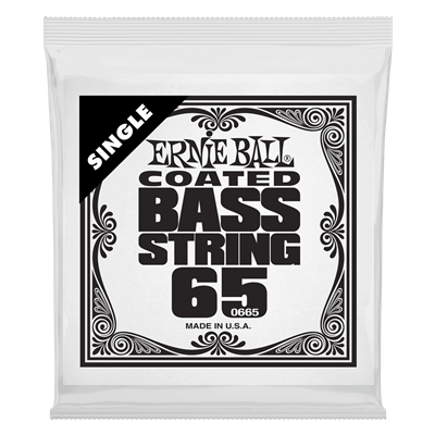 Ernie Ball .065