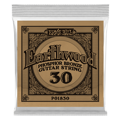 Ernie Ball Earthwood .030 Phosphor Bronze Acoustic Single