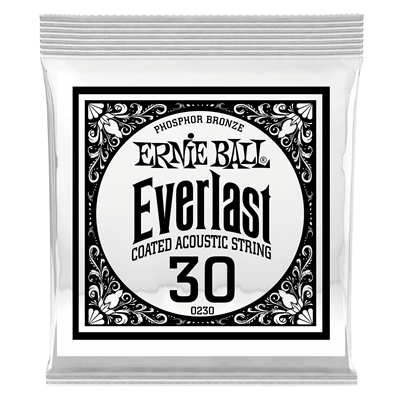 Ernie Ball Everlast Phosphor Bronze Wound Single 030