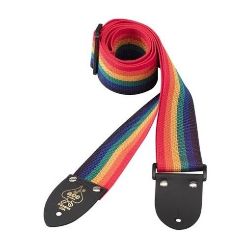 D'Andrea 2 Inch Polyweb Strap - Rainbow