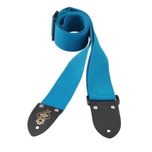 D'Andrea 2 Inch ACE Polyweb Guitar Strap - Teal