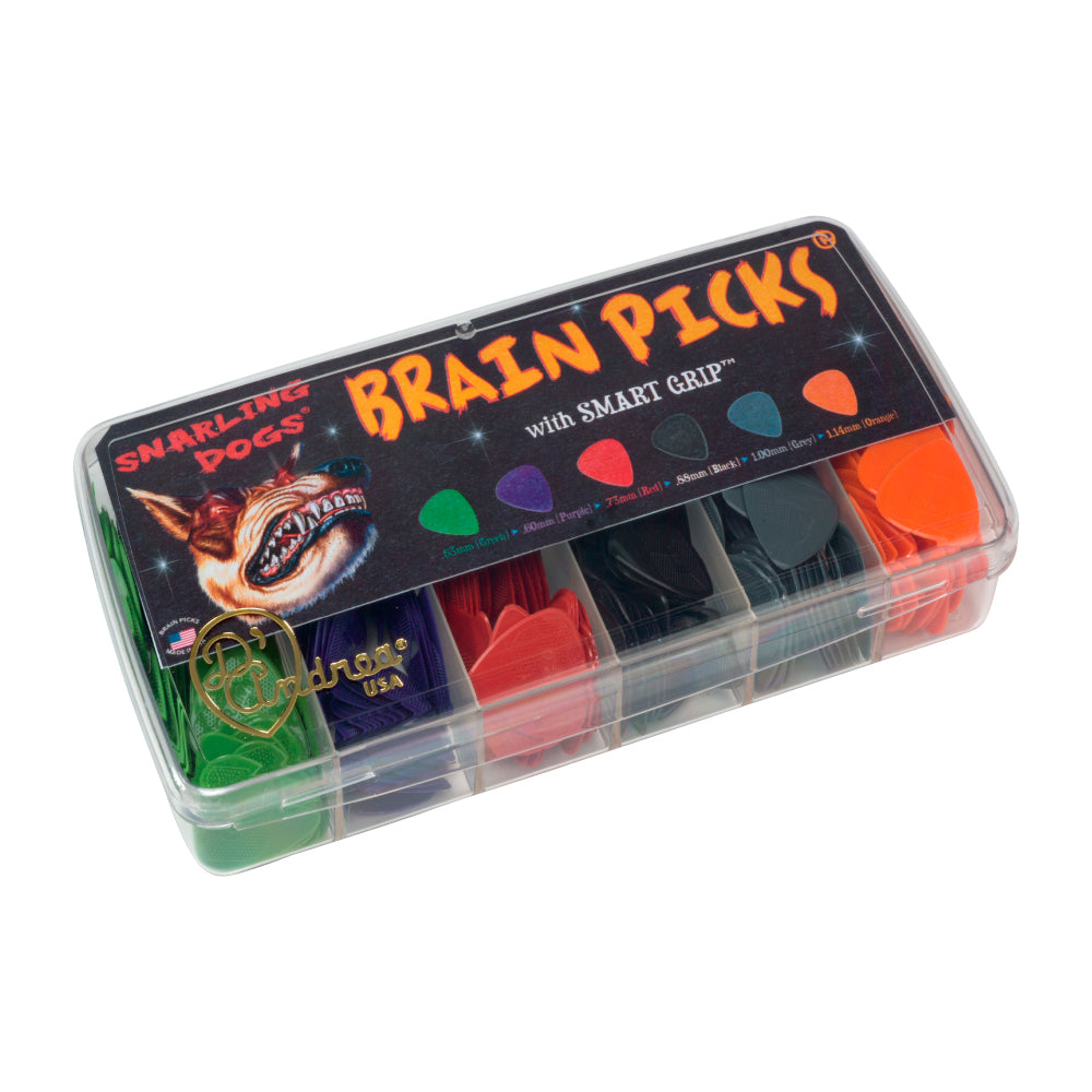 Brain Picks - 432pc Pick Kit