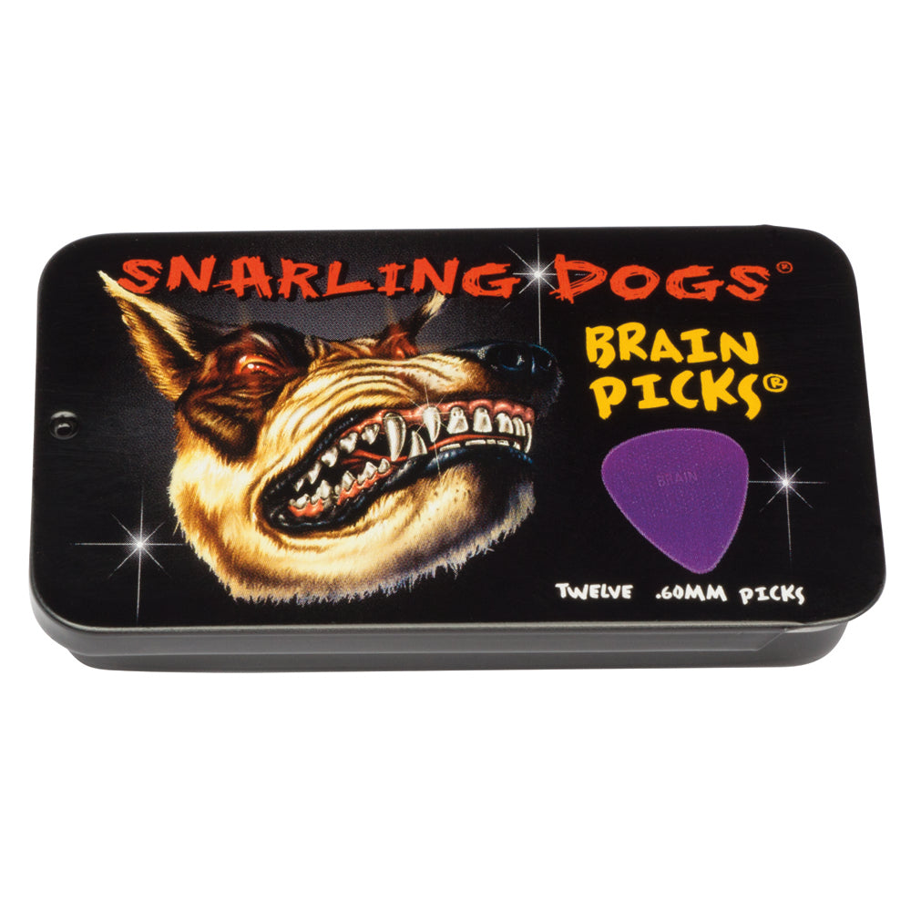 Brain Picks Tin (12) .60mm Purple